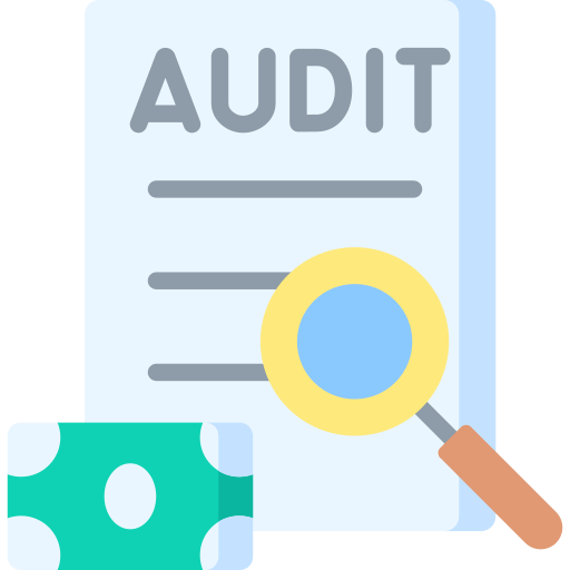 Auditing and Regulatory Governance 